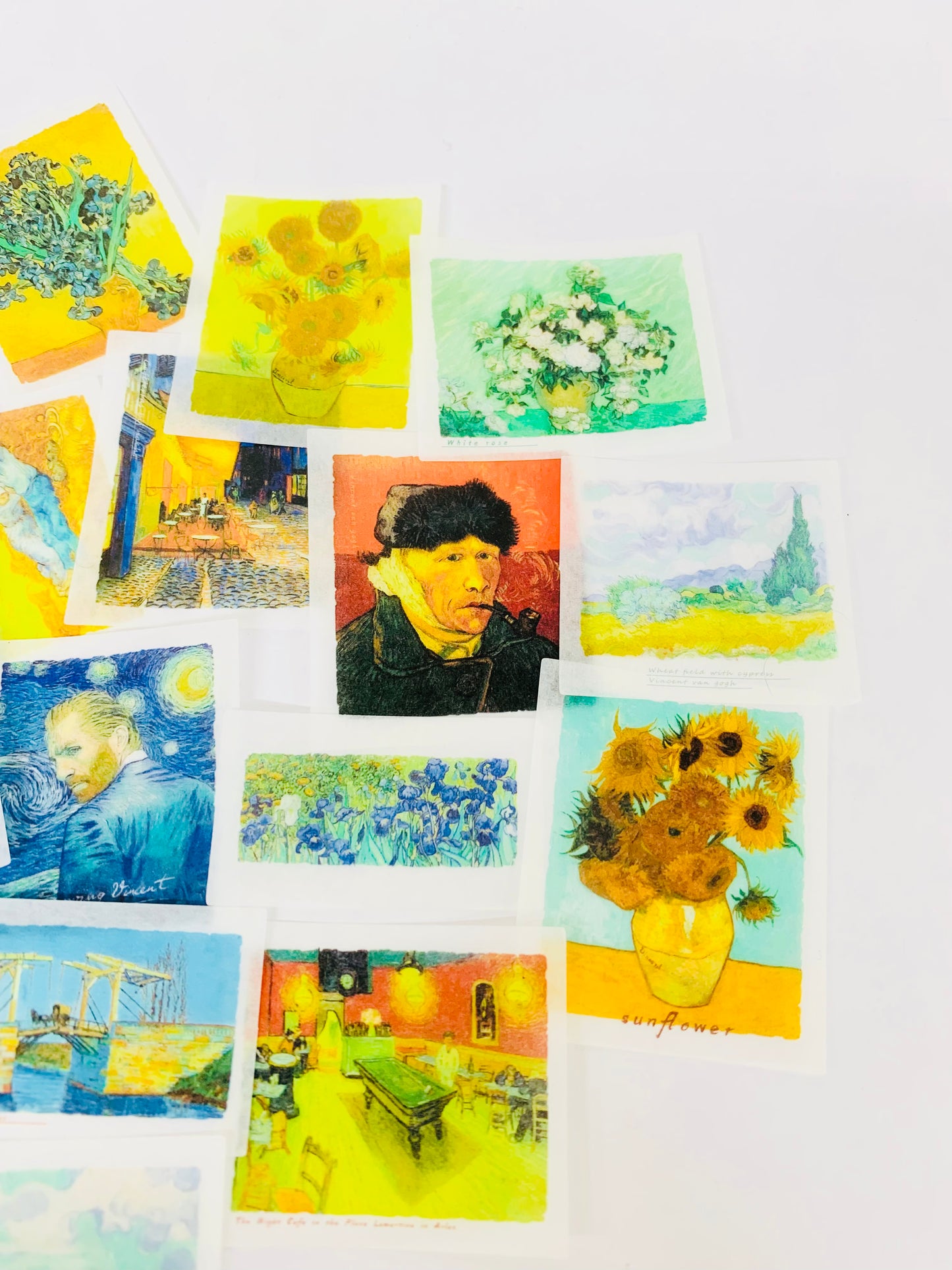 Calcas Van Gogh Washi