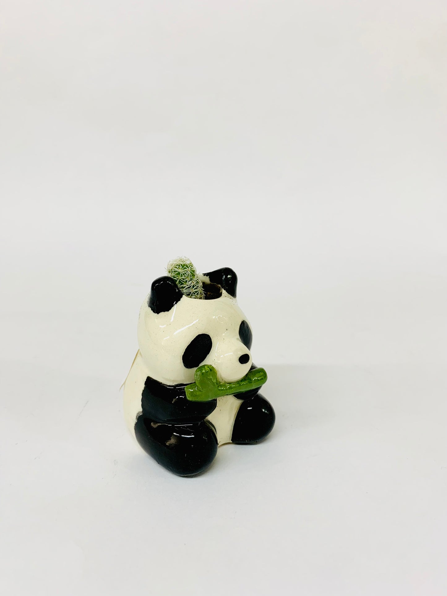 Maceteo Panda